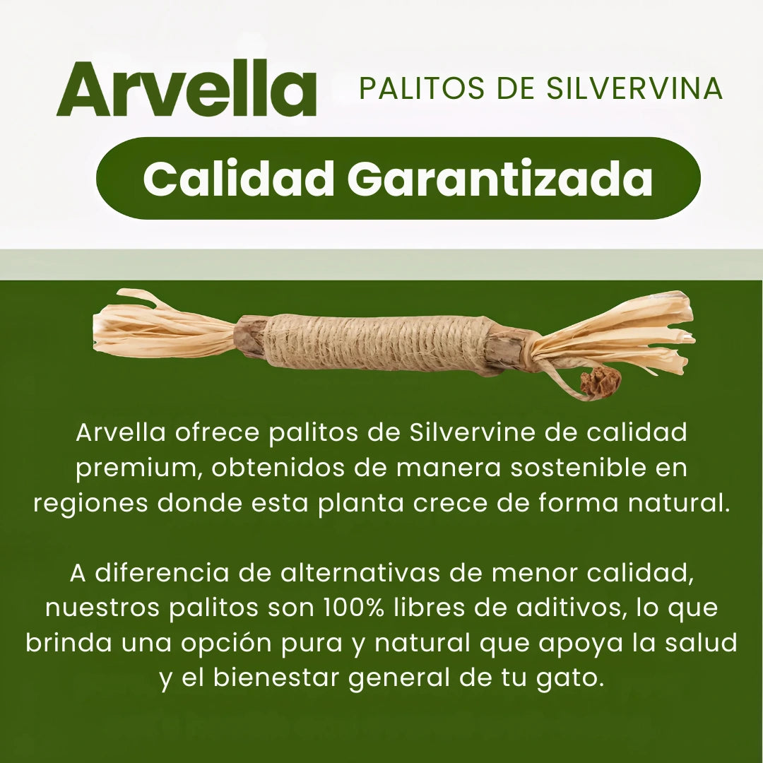 Palitos Dentales de Silvervine Naturales