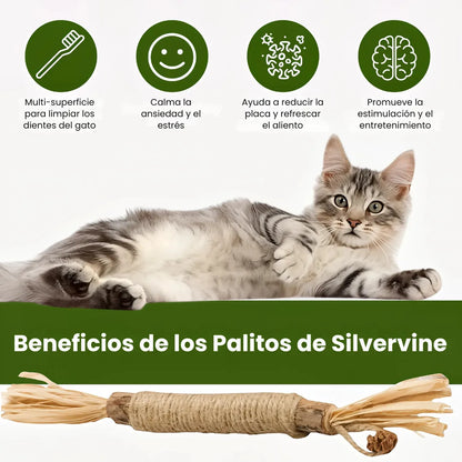 Palitos Dentales de Silvervine Naturales