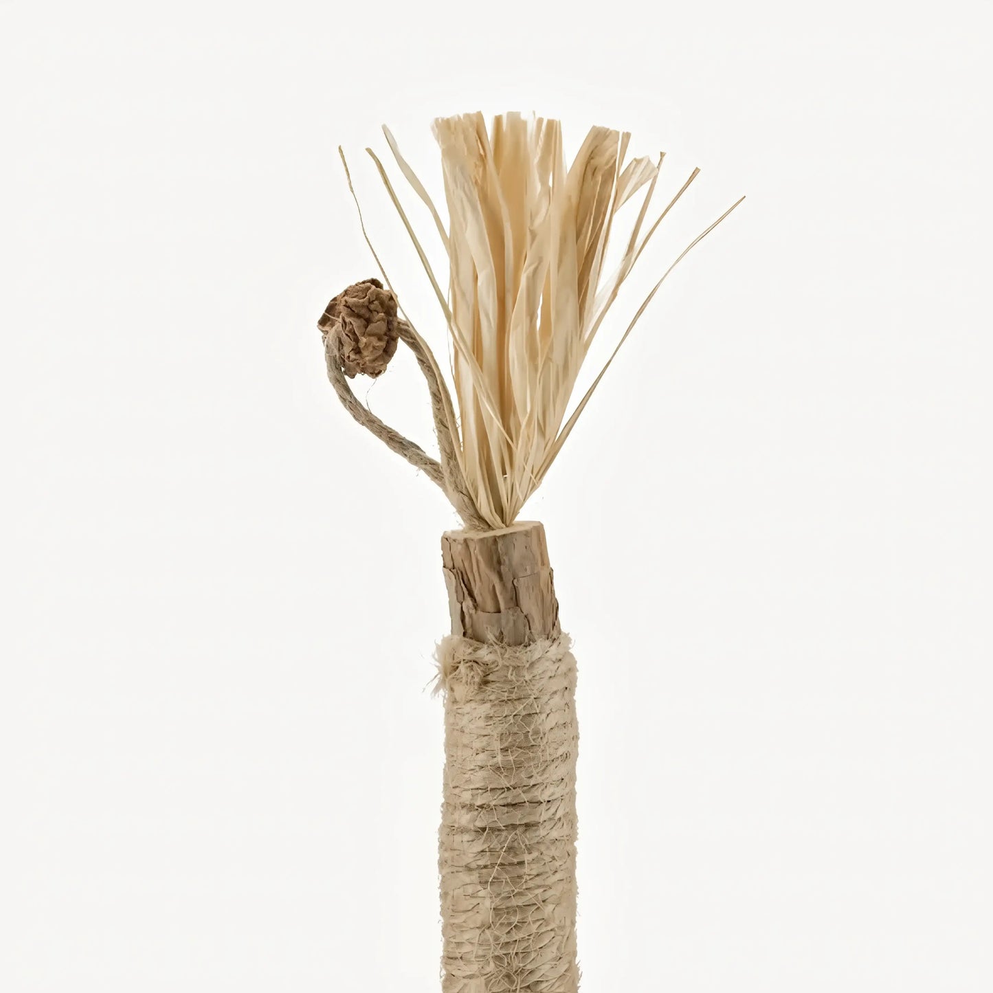 Palitos Dentales de Silvervine Naturales